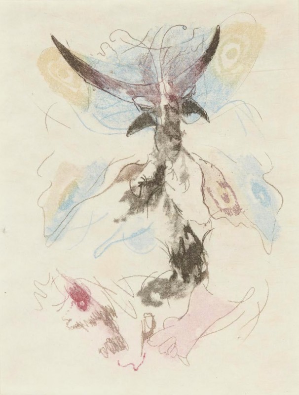 <i>Untitled</i> (Plate 8)