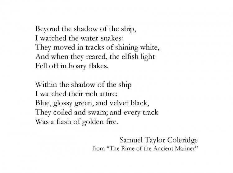 <a href="http://www.poetryfoundation.org/poem/173253" target="_blank">“The Rime of the Ancient Mariner" </a>